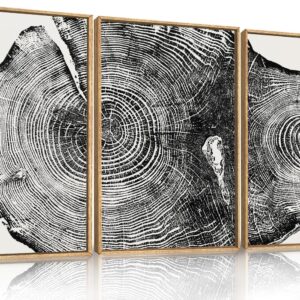 Aryroi Large Vintage Tree Ring Framed Canvas Wall Art,Abstract Wood Stump Wall Decor,Neutral Annual Ring Artwork,Modern Black and White Art Print for Living Room,Bedroom,Office- 16"x24"x3