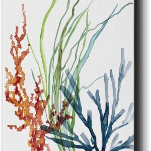 Renditions Gallery Ocean Garden I Wall Art, Premium Gallery Wrapped Canvas Decor, Ready to Hang, 20 in H x 16 in W, Made in America Print